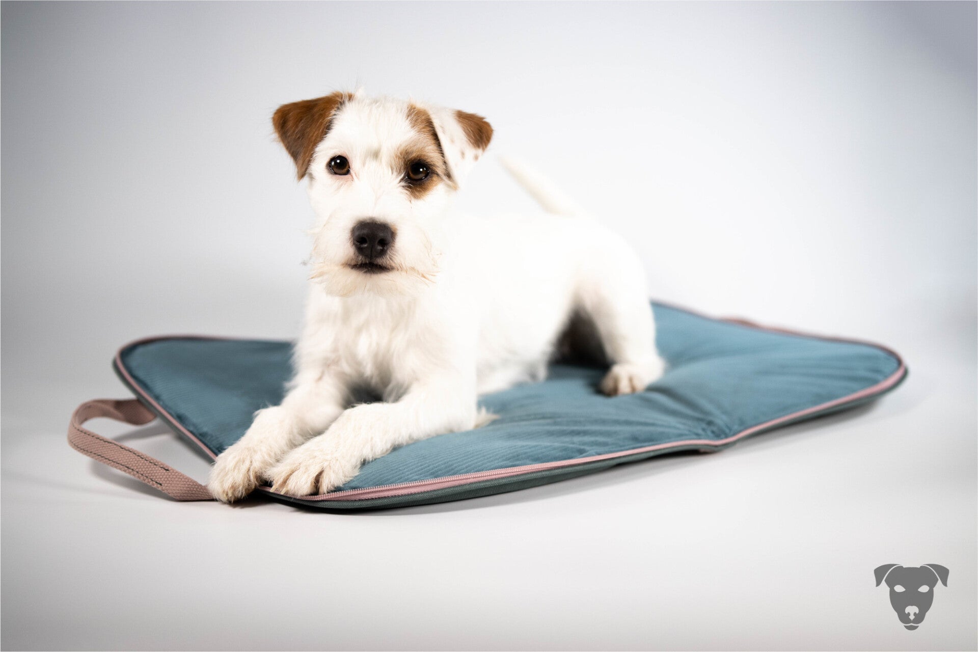 DOG BED TO GO "AquaGreen (Petrol)"