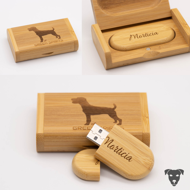 USB-Stick mit Lasergravur, Zuchtstättenlogo, of Green Spirits