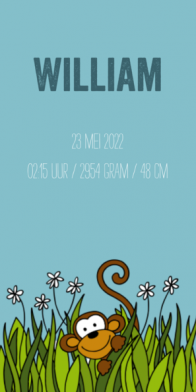 langwerpig geboortekaartje aap