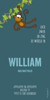 langwerpig geboortekaartje aap