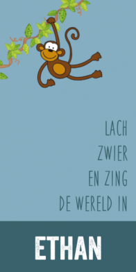 langwerpig geboortekaartje aap