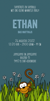 langwerpig geboortekaartje aap