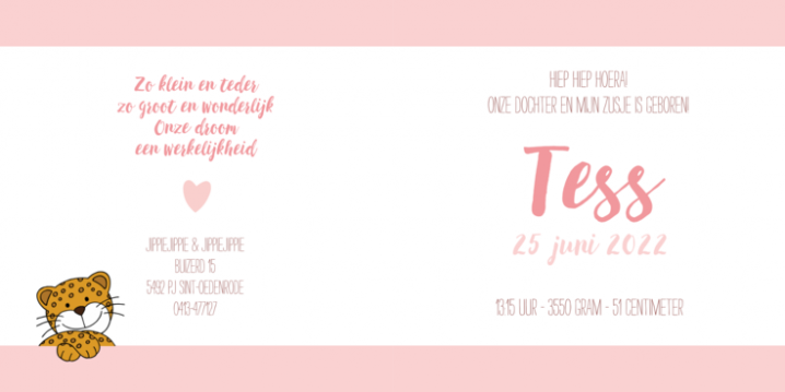 geboortekaartje panter