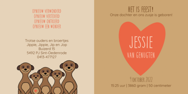 langwerpig geboortekaartje aap