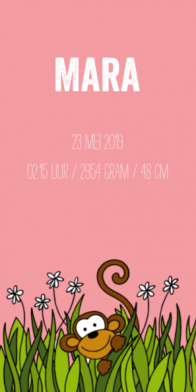 langwerpig geboortekaartje aap