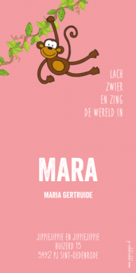 langwerpig geboortekaartje aap