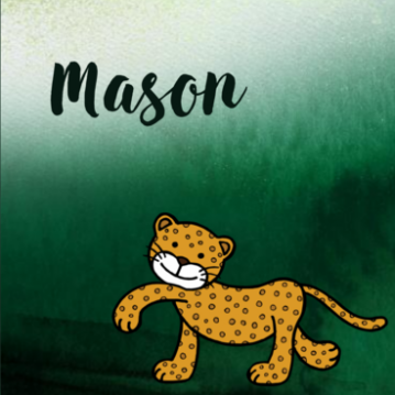 geboortekaartje panter