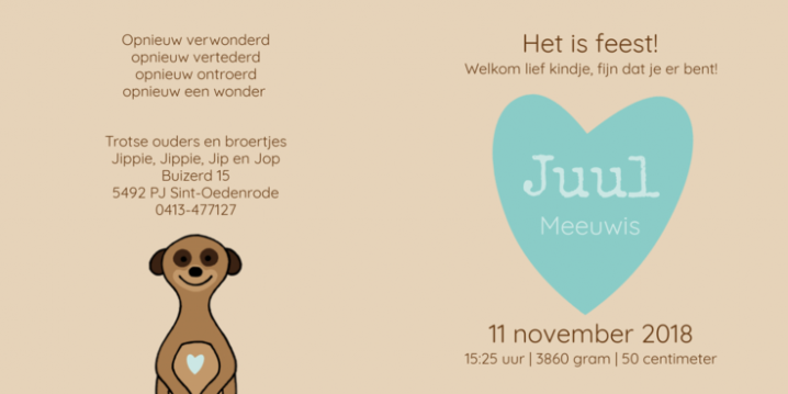 langwerpig geboortekaartje aap