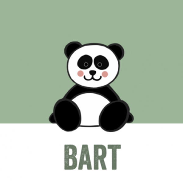 canvas schilderij panda