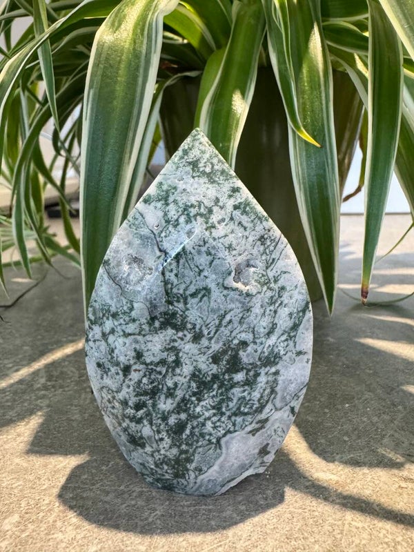 Tree Agate Teardrop R43