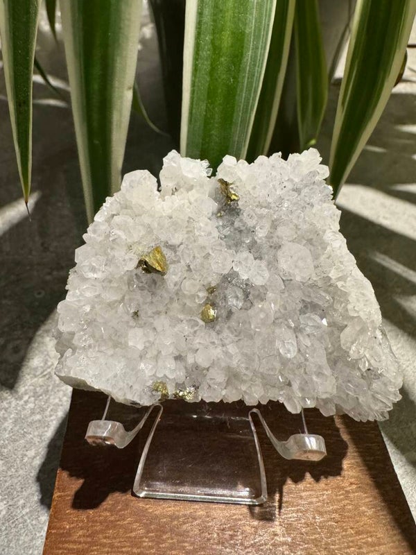 Clear Quartz with Pyrite w435