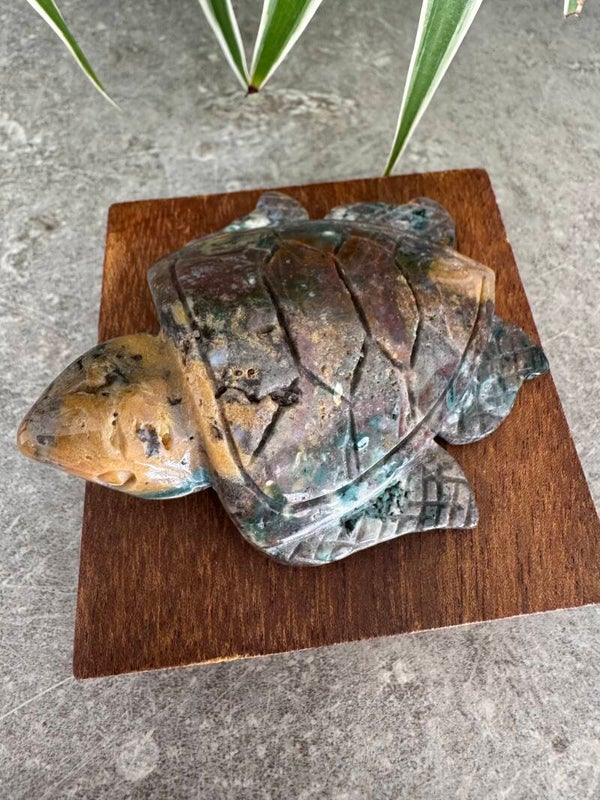 Ocean Jasper Turtle Craving R6