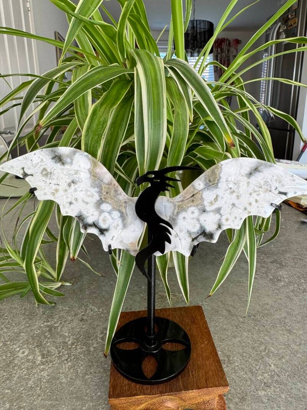Ocean Jasper Dragon Wings dc5