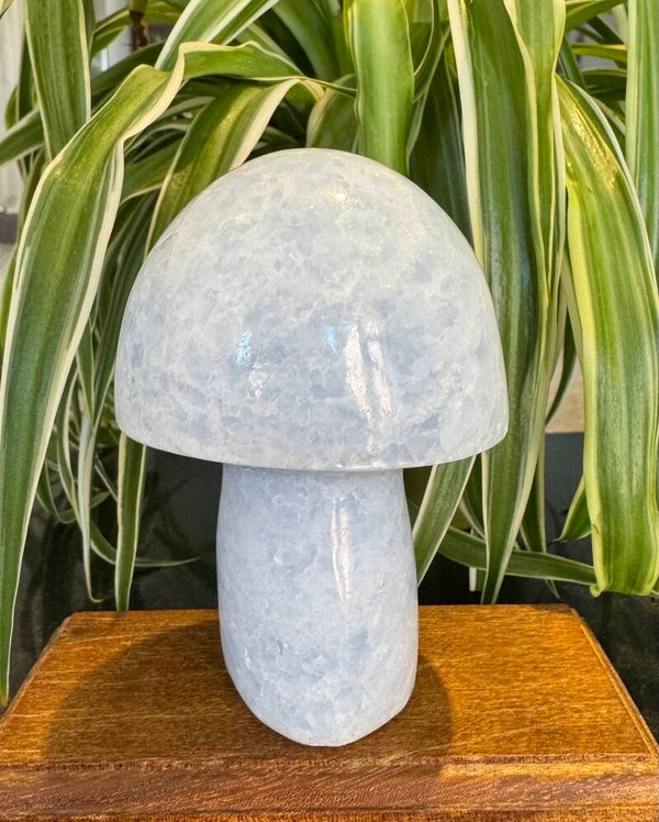 LG Blue Calcite Mushroom 430g - L36