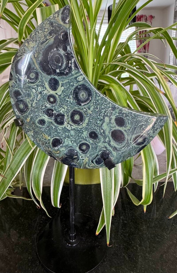 Kambada Jasper Moon & Stand