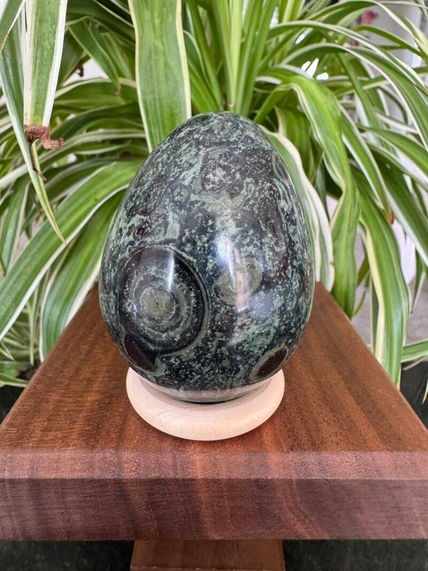 Kambaba Jasper Egg & Stand H1