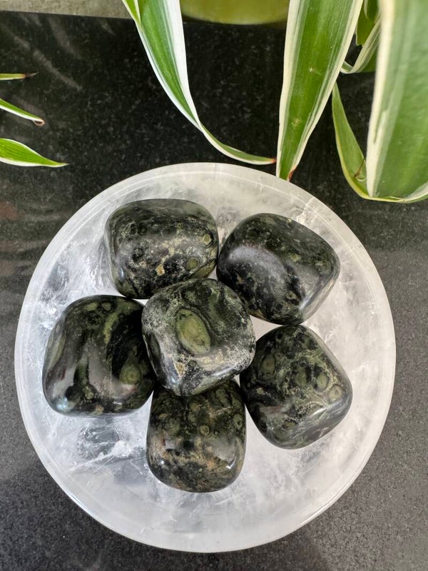 Kambaba Jasper one Tumble H2