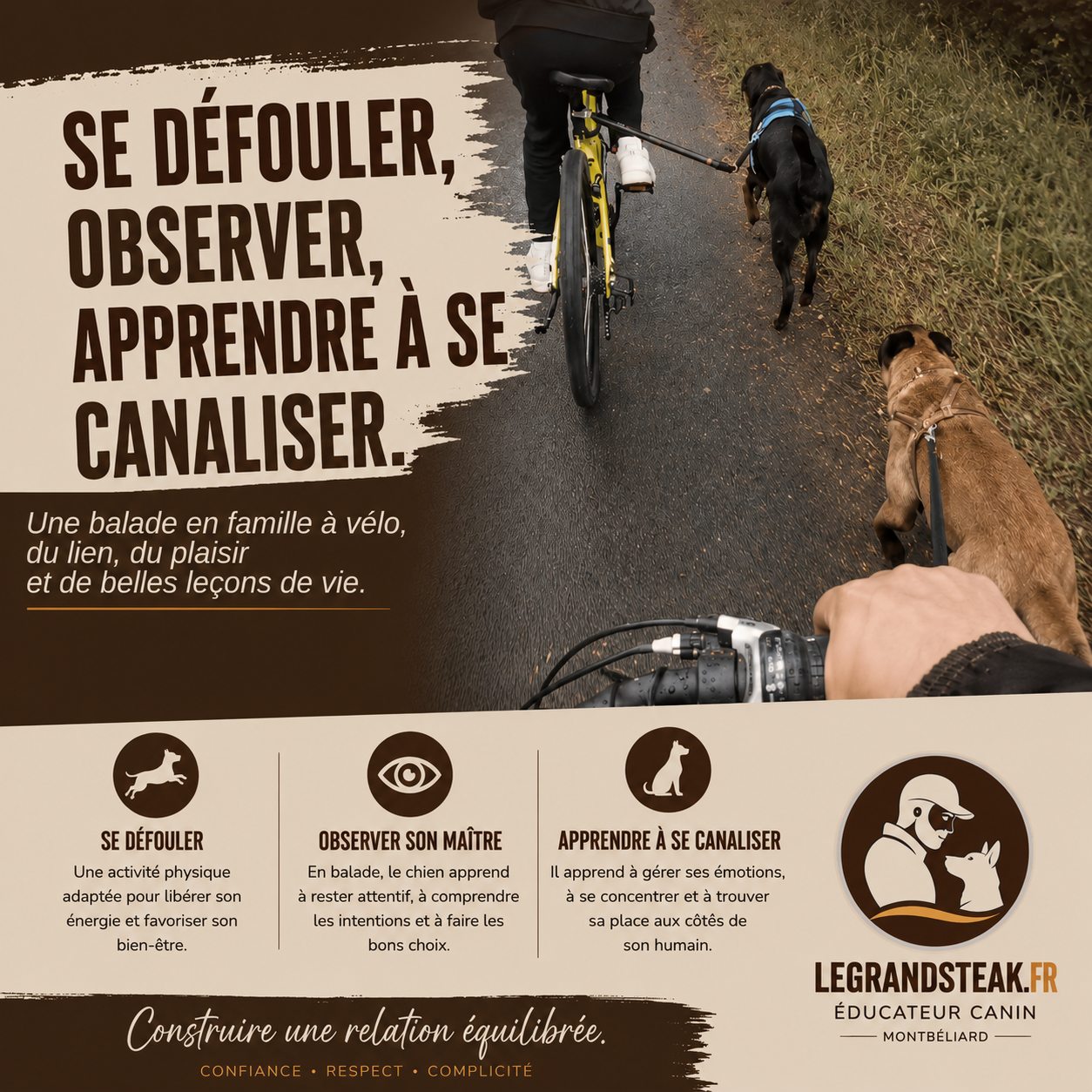 Séance personnalisée cani bike pour résoudre les attaques sur les vélos 