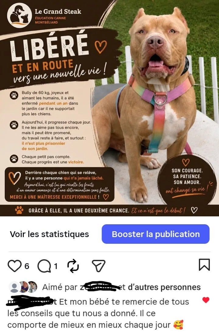 Le bully XXL de Mélanie 