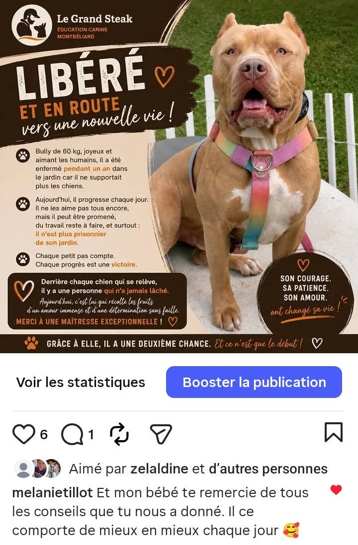 Le bully XXL de Mélanie 