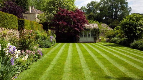 Lawn Care Service