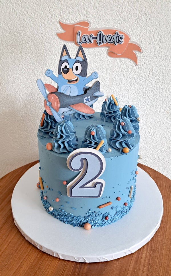 Bluey en vliegtuigen