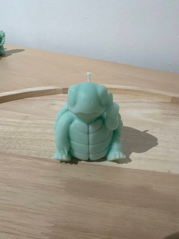 Brutale Schildpadkaars