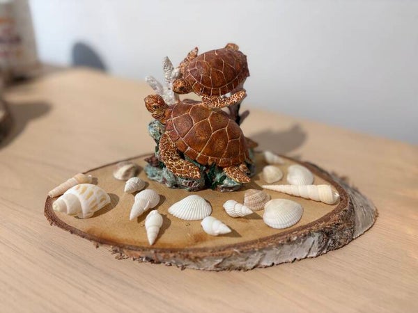 Zomerdecoratie met schildpadjes op houten schijf
