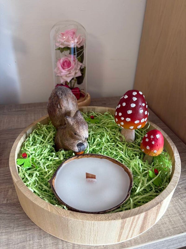 Eekhoorn Met Kokosnoot En Paddenstoel