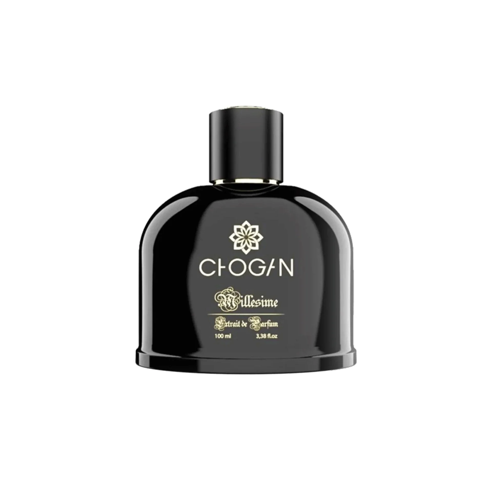 Chogan Nr.2 Inspiriert von Acqua di Gio 100ML