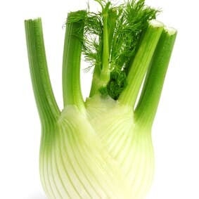 Frischer Fenchel