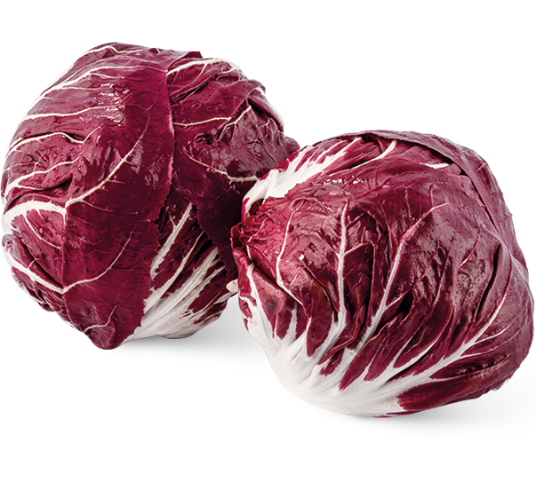 Radicchio 500 gr Netz
