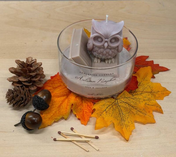 Herfst en Halloween collectie geleerde uil
