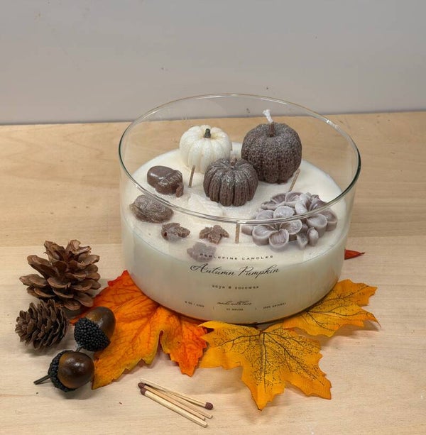 Herfst en Halloween collectie gevulde schaal met pompoenen