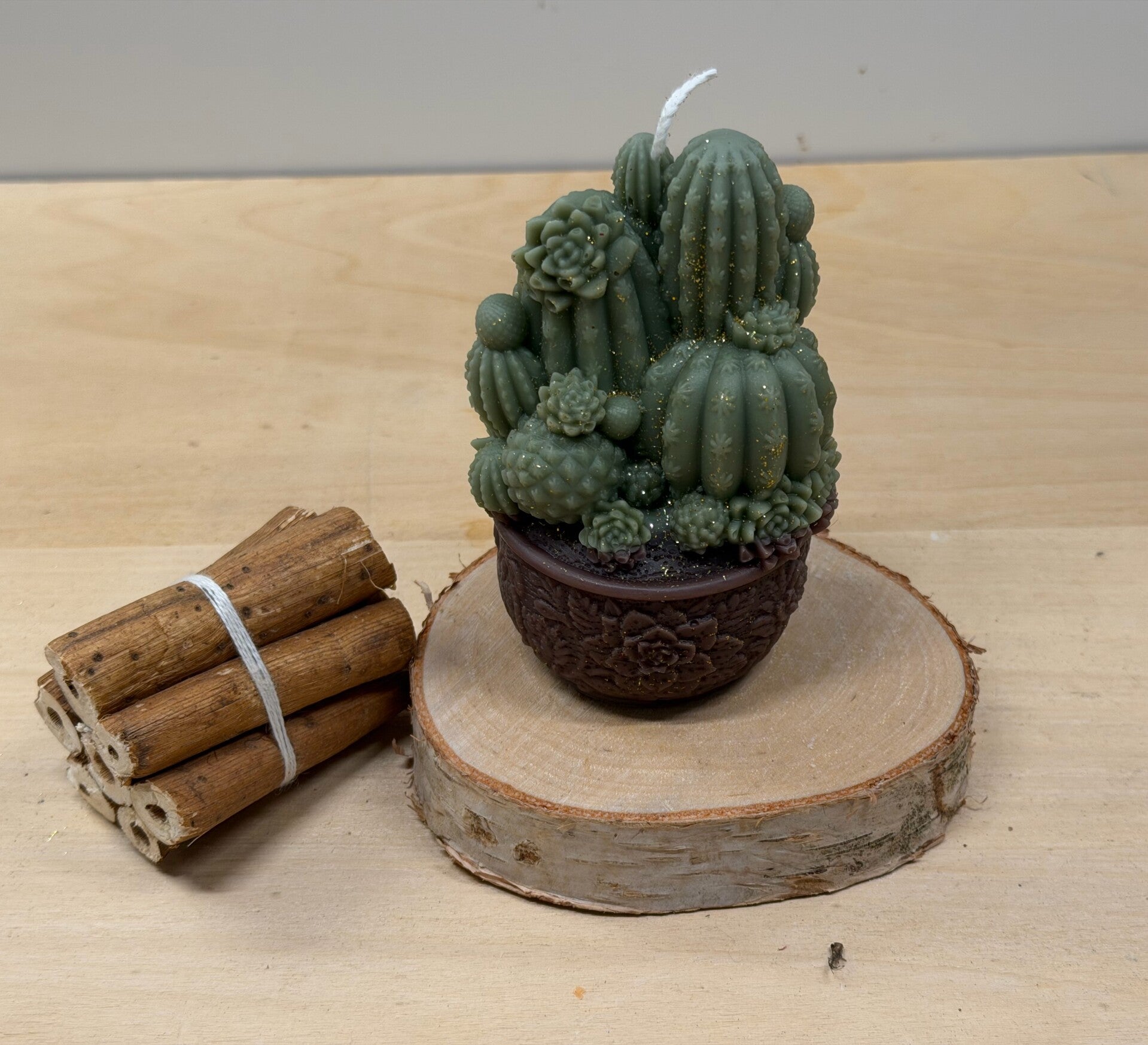 Cactus collectie Potje cactussen