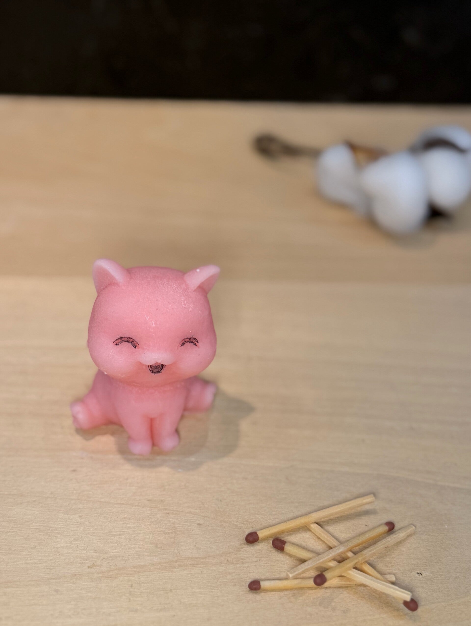 Geboortekaarsje poesje