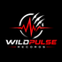 Wildpulse-Records