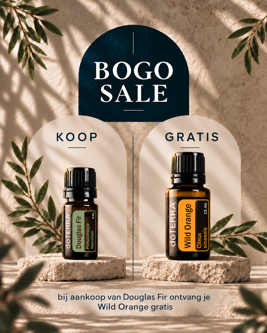 BONUS BOGO: Douglas Fir + Wild Orange