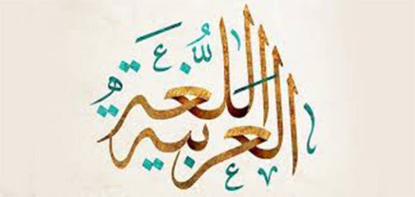 Leçons  de langue arabe pour tous les niveaux ( débutants et avancés ) pour 1 heure