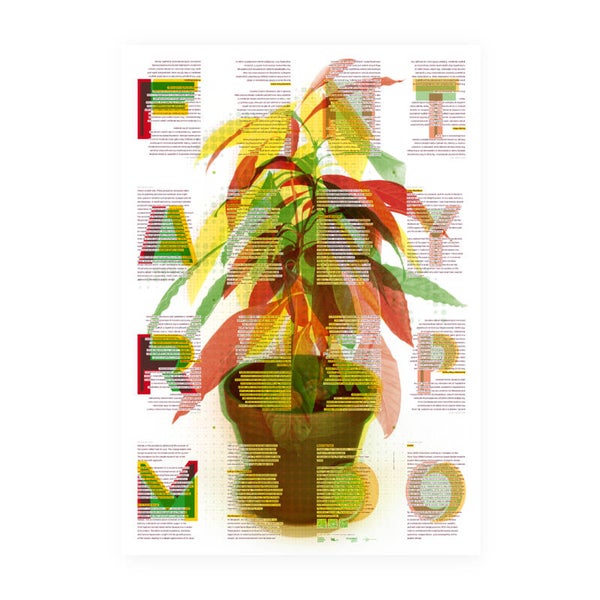 FARM Poster Zine