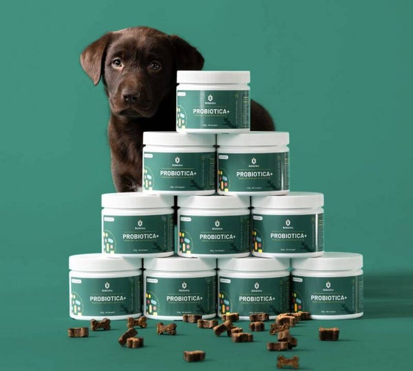 Probiotica Maag en Darm