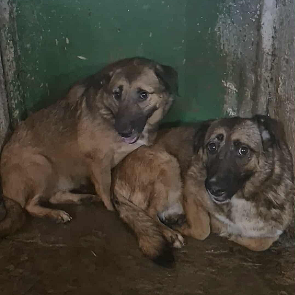 Missy & sa fille Jessie