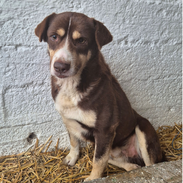 Finley #51669