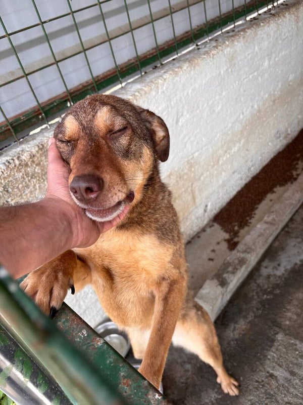 Lina #49268