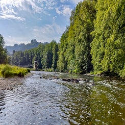 bouillon-0722-105.jpg