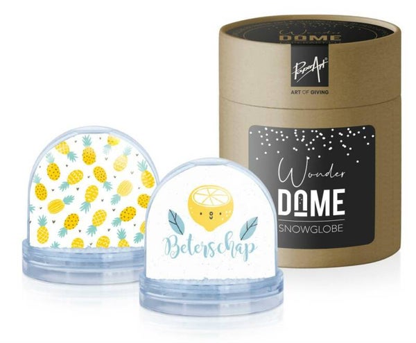Snow Globe 'Beterschap' Wonder Dome