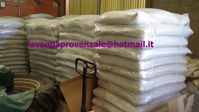 100 kg fiore di lavanda raccolto 2025 con nostra spedizione