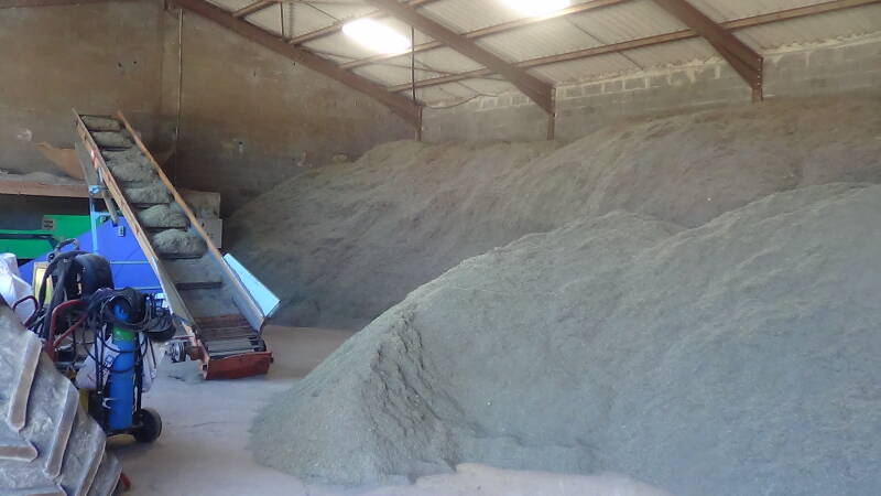 stock fiore di lavanda