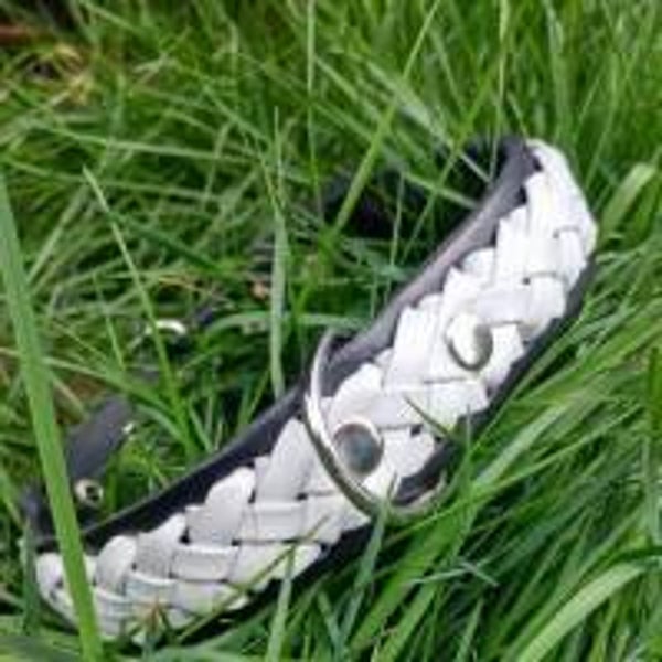 HUNDEHALSBAND in schwarz, weiße Flechtung (HH31)