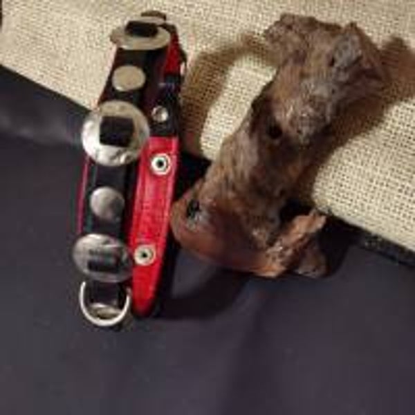 Hundehalsband mit Concha und Nieten, Vollleder (HH 13)